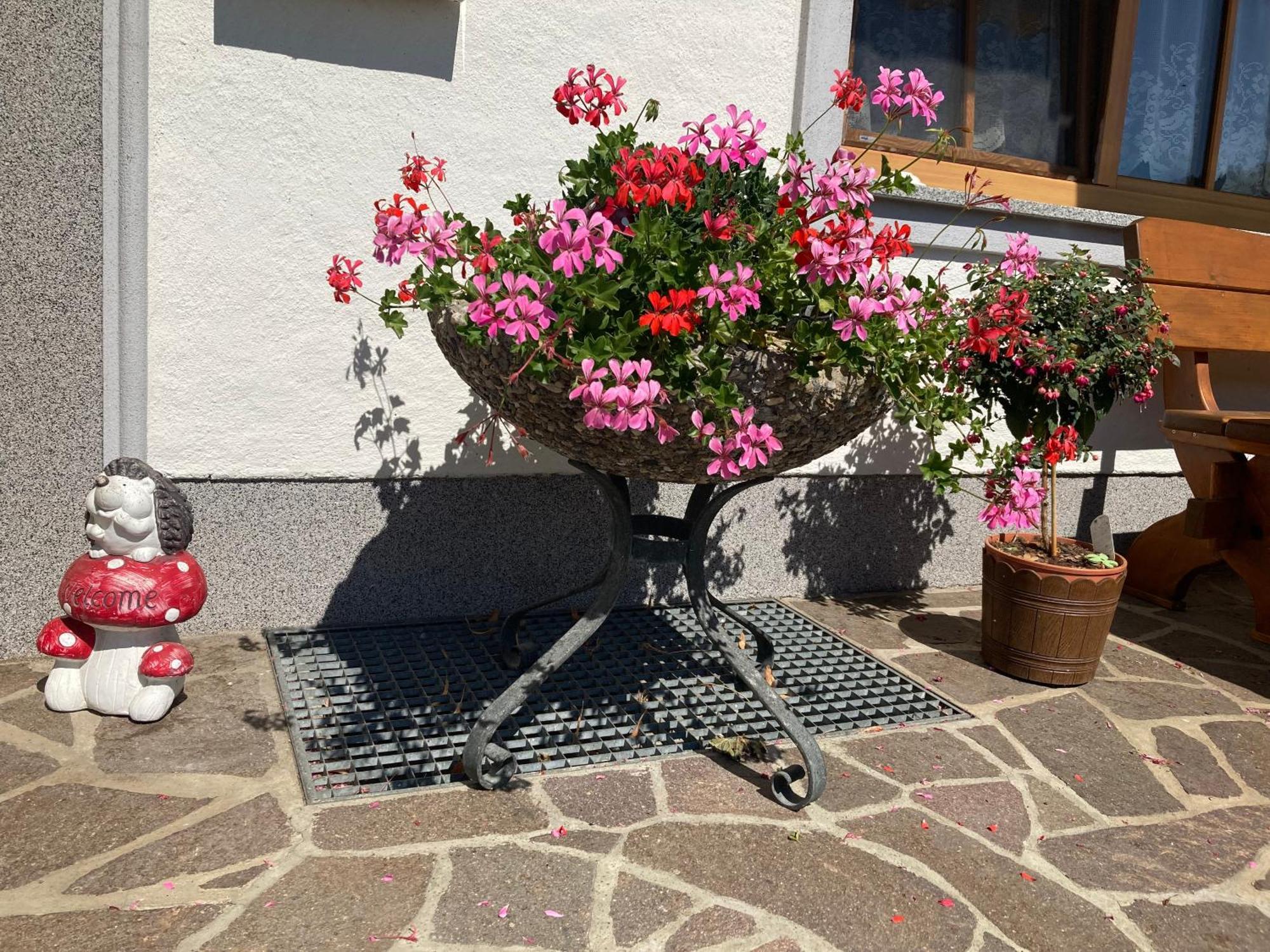 Appartement Biohof-Feichtinger à Zell am Moos Extérieur photo
